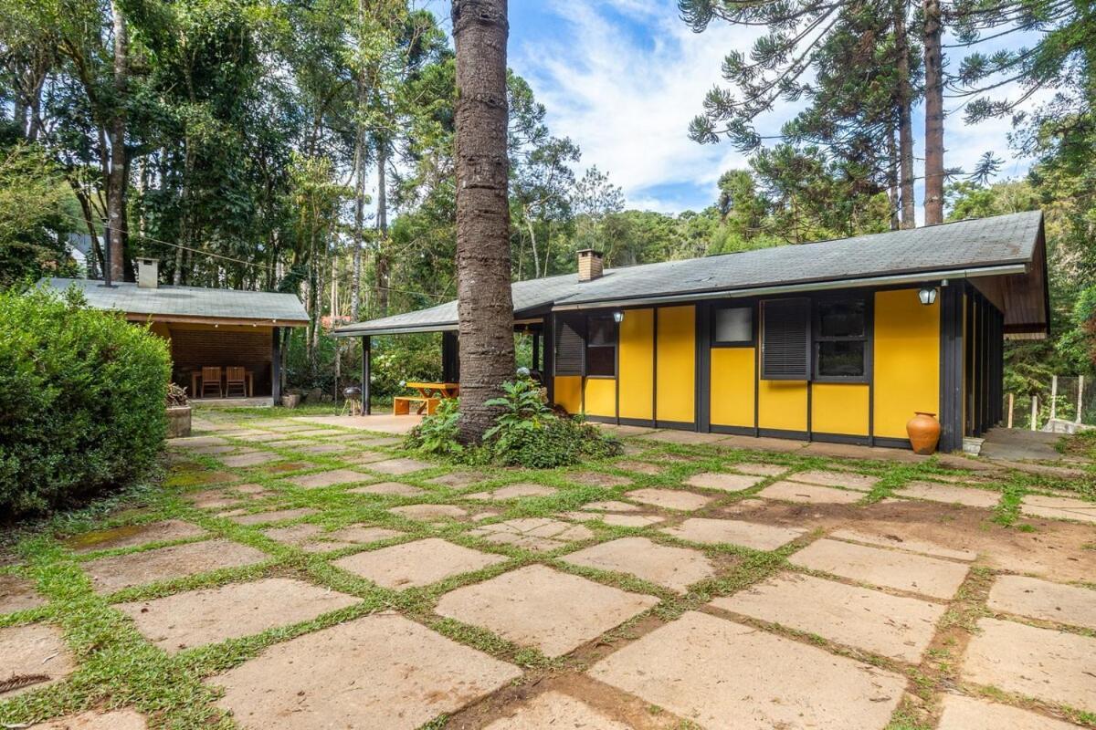 Em Terreno Amplo, Pet Friendly