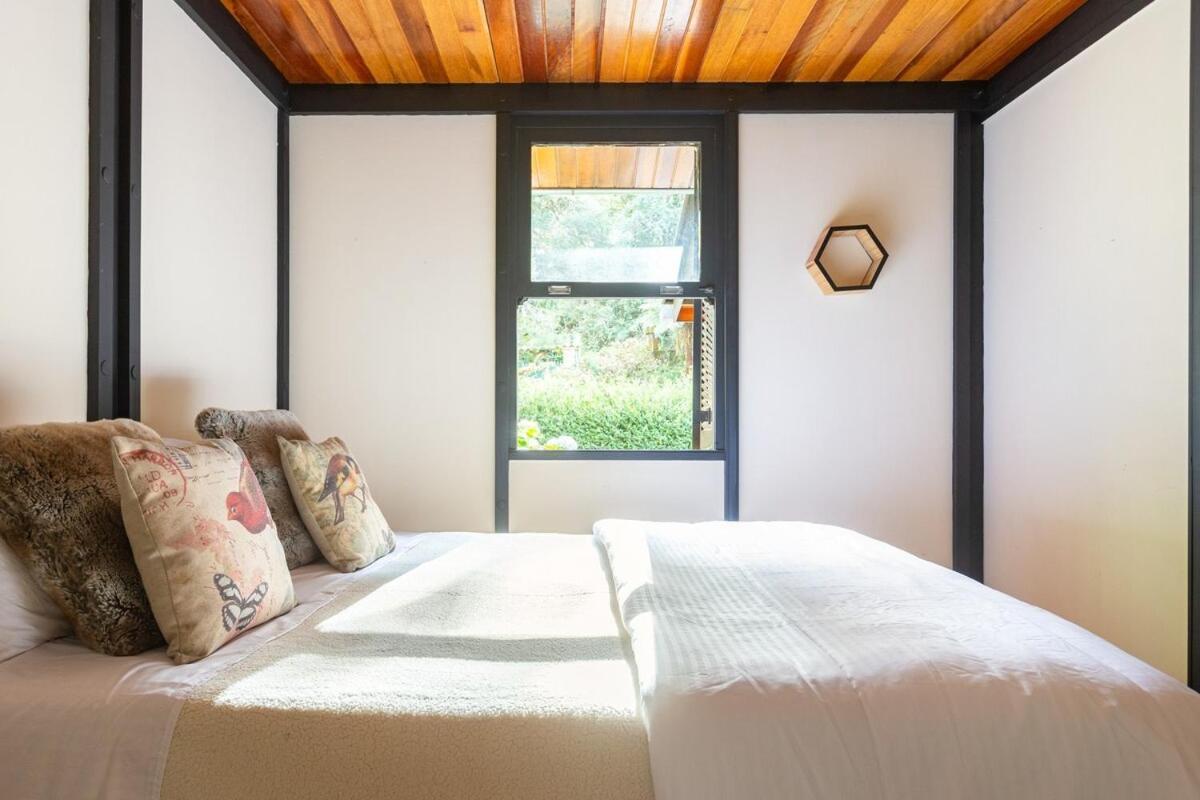 Em Terreno Amplo, Pet Friendly