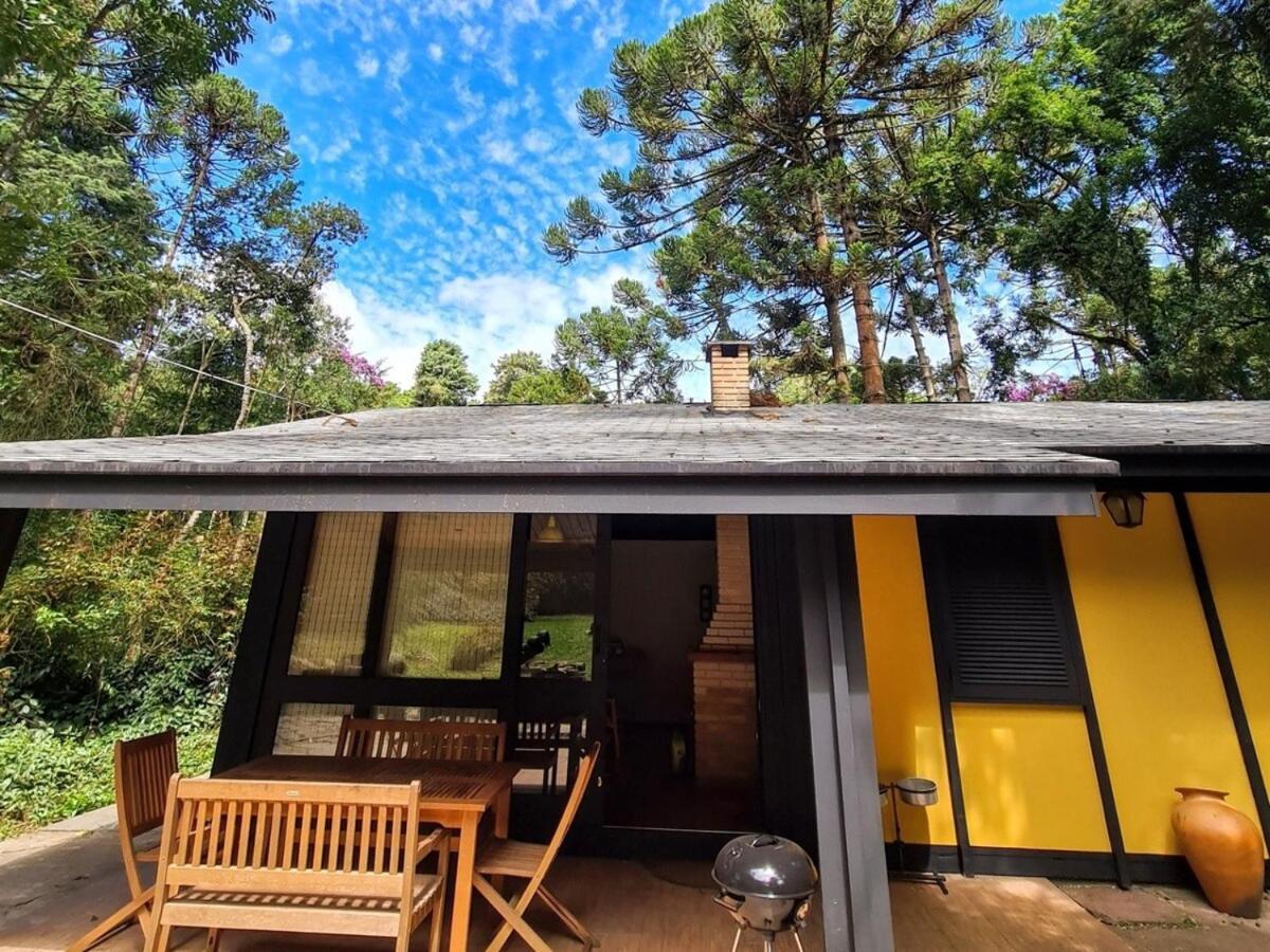 Em Terreno Amplo, Pet Friendly *