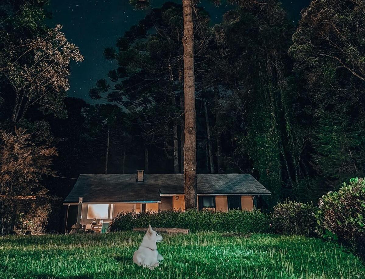 Em Terreno Amplo, Pet Friendly Campos do Jordão