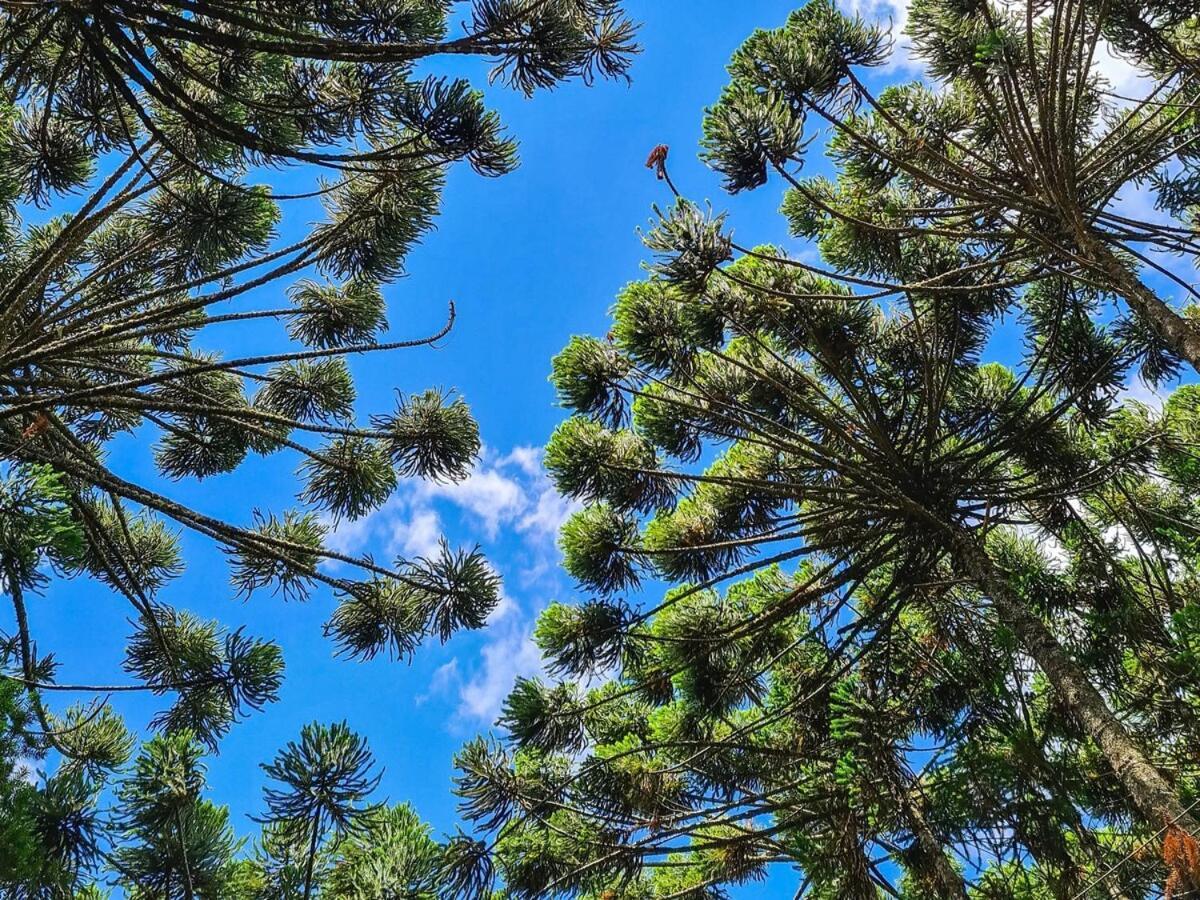 Em Terreno Amplo, Pet Friendly Casa de férias Campos do Jordão